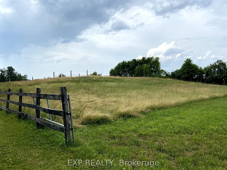 1175 Haldibrook Rd S — Photo 5
