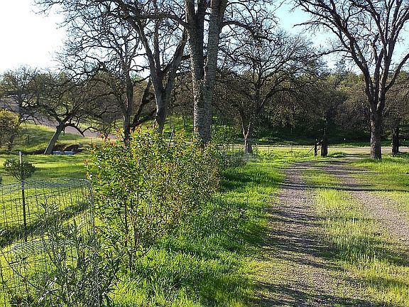 Driveway looking to street