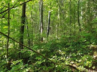 00 Georges Fork Rd #2, Burnsville, NC 28714