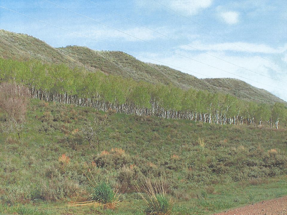 1st image of TBD County Road 179 Lot 24