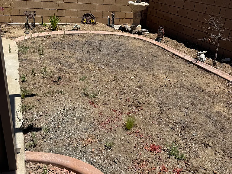 31595 Meadow Ln — Photo 5