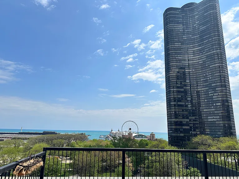 540 N Lake Shore Dr #518 — Photo 27
