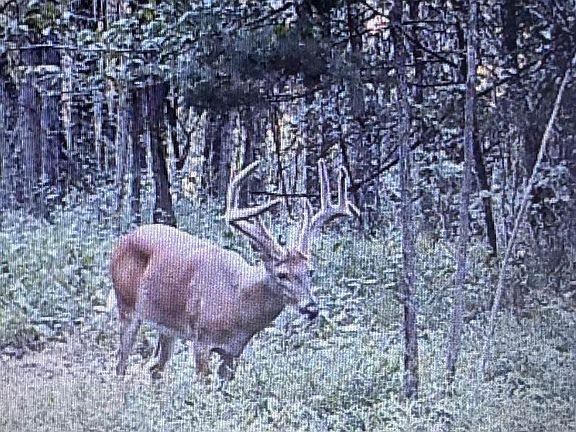 5th image of 0 Jones Mill Crossland Rd