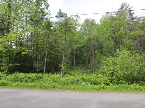 Lot 37C Brewer Lake Road, Orrington, ME 04474