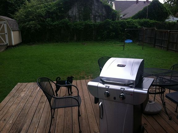 Backyard w/ deck and shed
