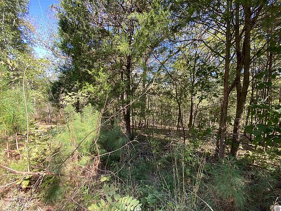 3rd image of LOT 95 Connie Dr