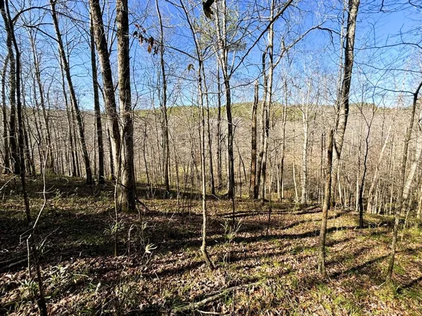 0 Beech Creek Rd, Moulton, AL 35650