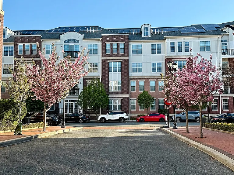 Harbor Pointe — Photo 51