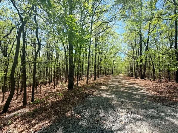 Raven Ridge Trl, Dobson, NC 27017