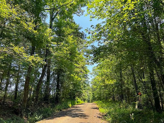 4th image of 2 Lickskillet Rd