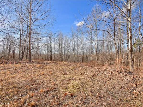 98 Saddleback Dr, Dover, TN 37058