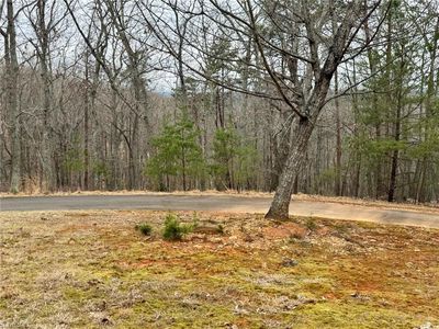295 Cascading Creek Trl #10, Denton, NC, 27239