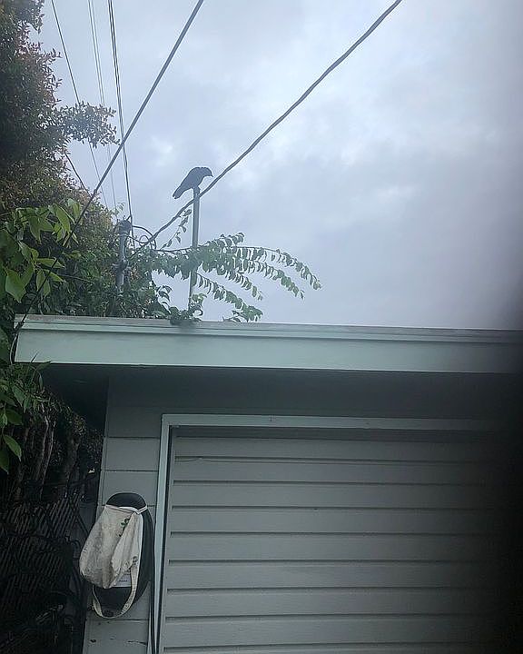  220v supercharger+powerwall