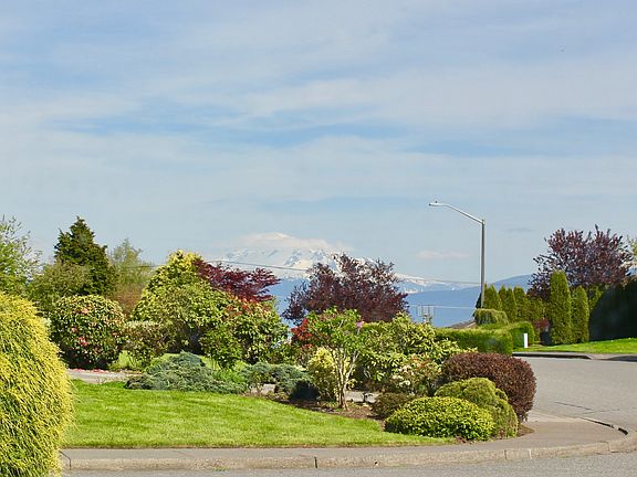 Mt. Baker view