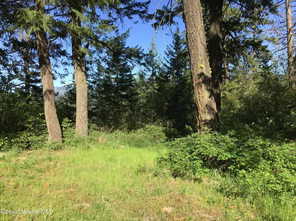 Rufus Trail Lts 4 5 6 7, Saint Maries, ID 83861