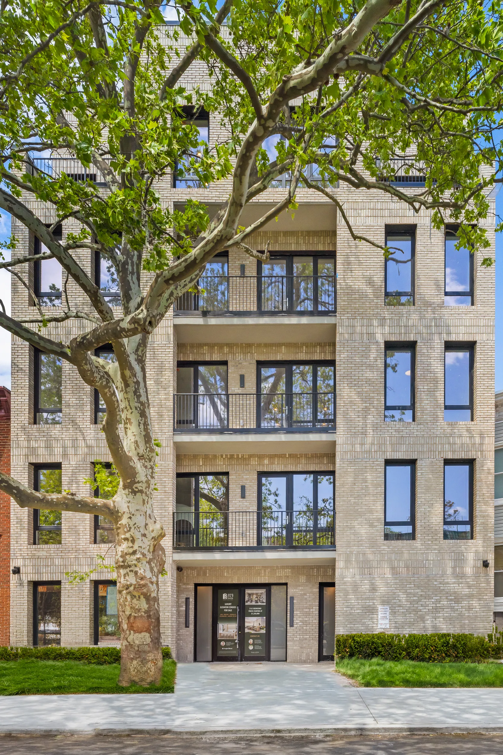 373 Rutland Road #5A in Prospect Lefferts Gardens, Brooklyn