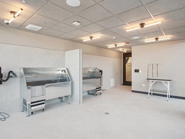 Arthur on Aberdeen — Photo 24