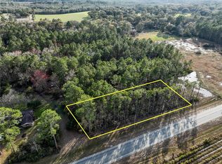 0 Tract Hwy #6-32, Hortense, GA 31543