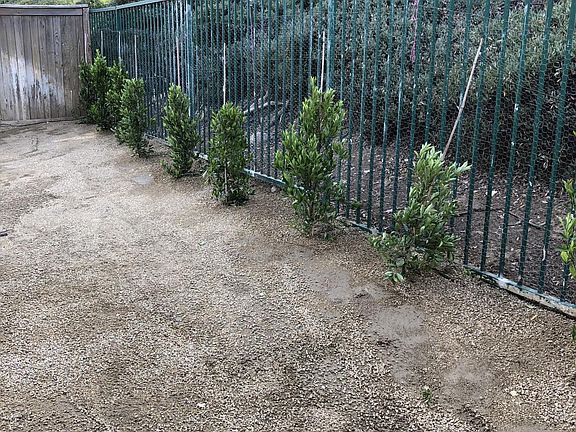 Newly planted with composite granite