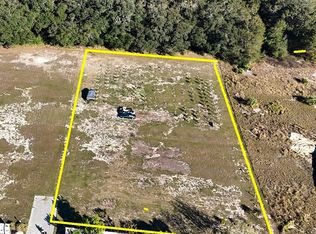 5207 Southern Dipper Ln #11, Wimauma, FL 33598