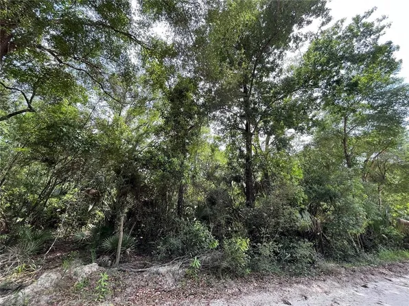 0 NW 105th St, Chiefland, FL 32626