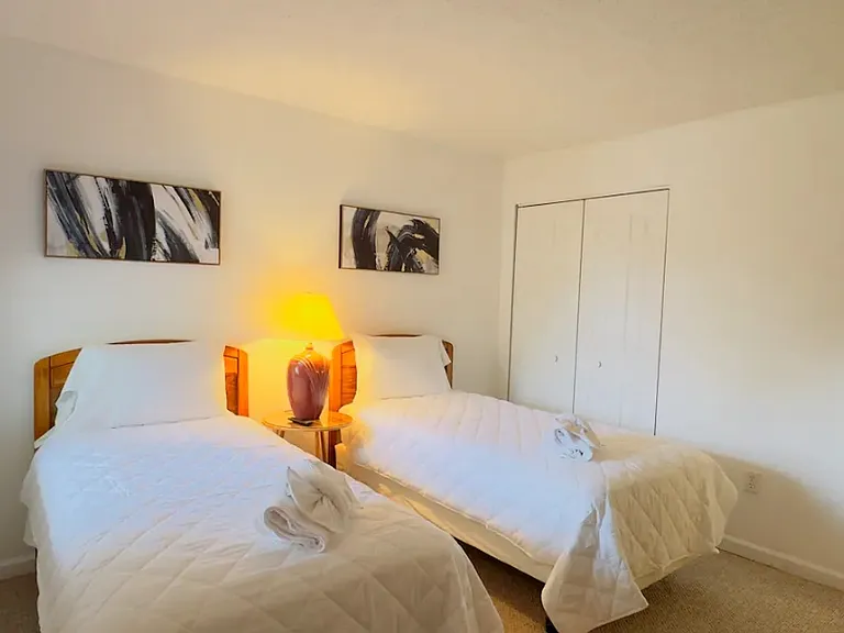 529 White River Dr #19I — Photo 7