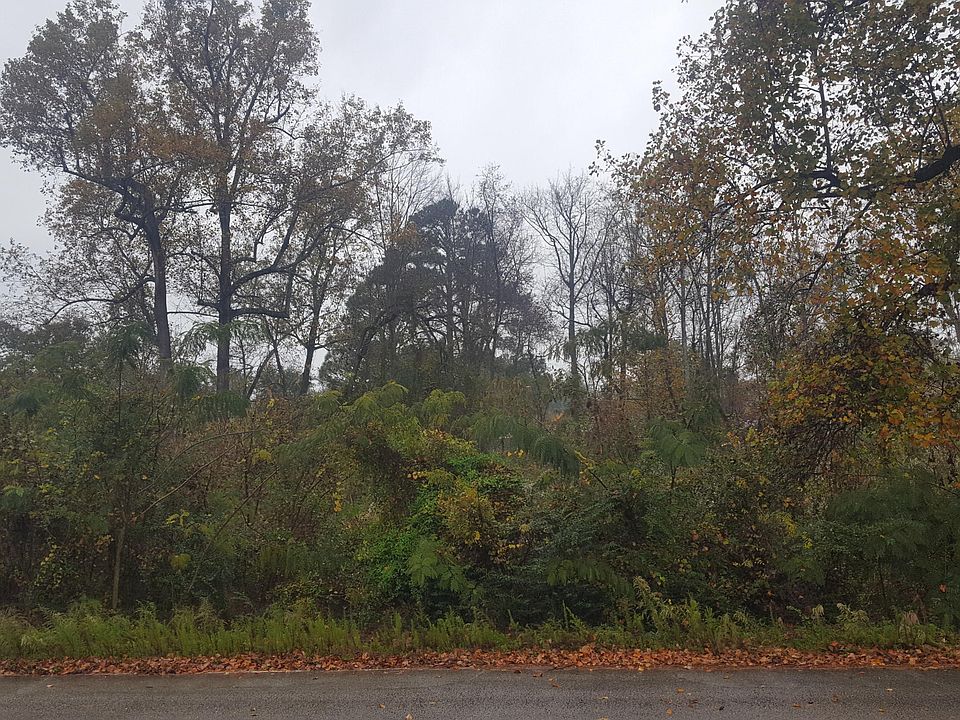 2nd image of 0000 Horseshoe Rd