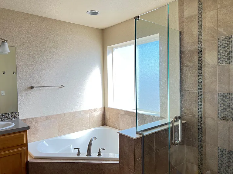 Master tub and shower