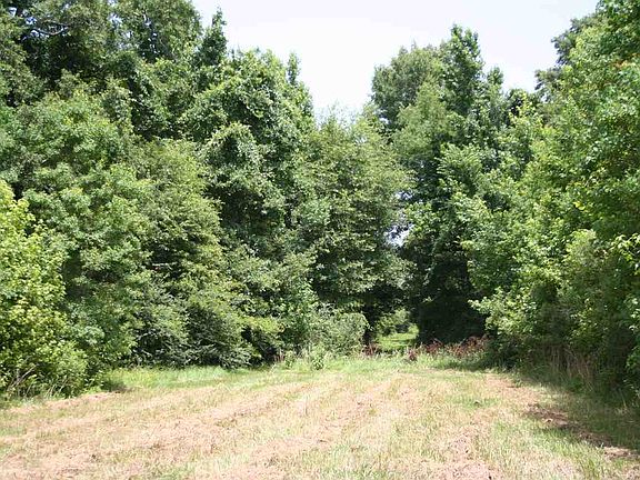 5th image of 311 Woodland Dr