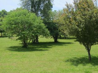 9 Back, White Pine, TN 37890
