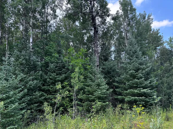 Highway 71, Littlefork, MN 56653