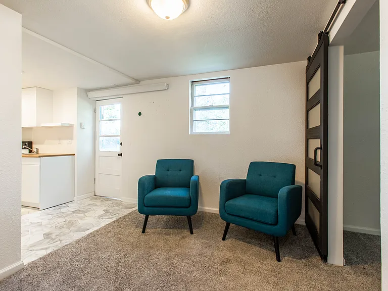Basement Living Area