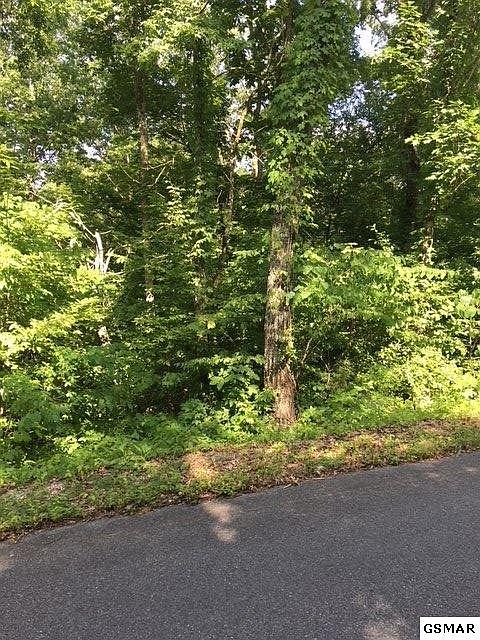 2nd image of 20 Red Bud Ln Lot 20