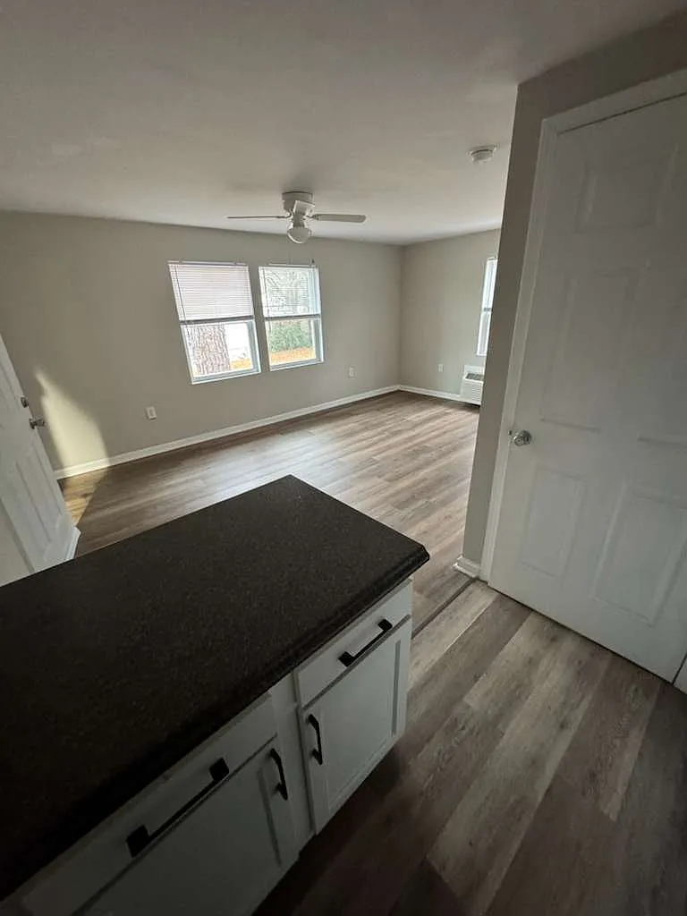 1 bed, $825 — Photo 3