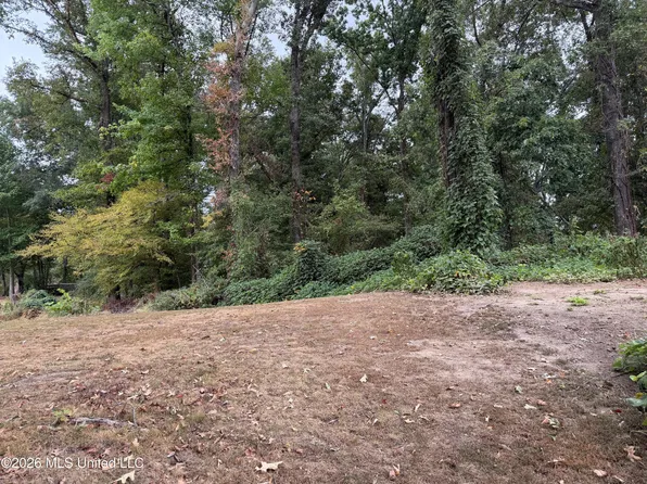 11287 Beechwood Ridge Cv Lot 118, Hernando, MS 38632