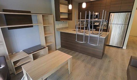 3rd image of 250 Albert St #104