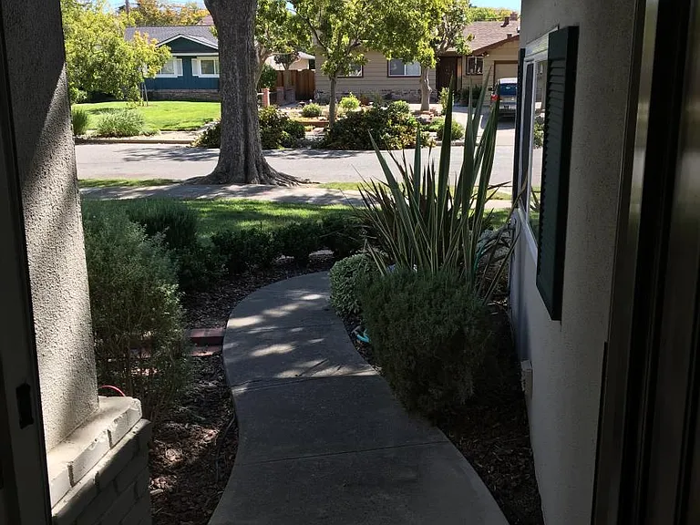 Looking out from the front door.
