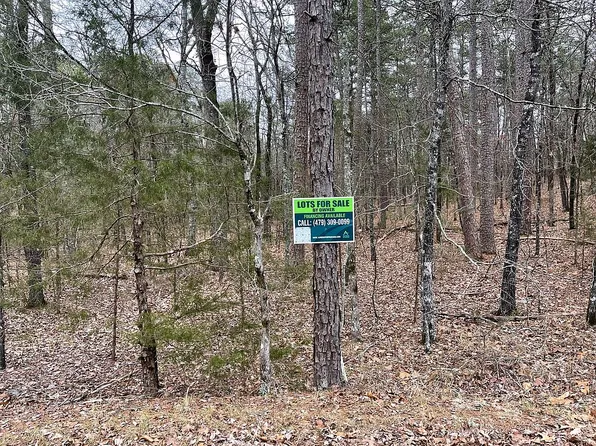 37 Ferdinand Way, Hot Springs Village, AR 71909