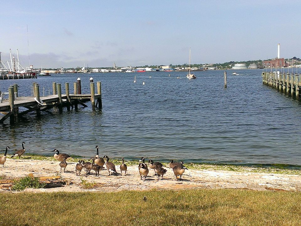 Beach Access - Dock not included.