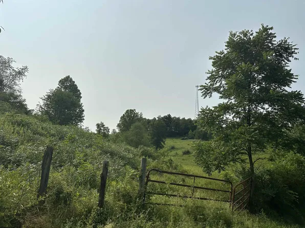 Slab Camp Rd, French Creek, WV 26218