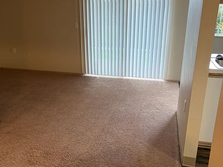 5197 SW 175th Ave — Photo 6