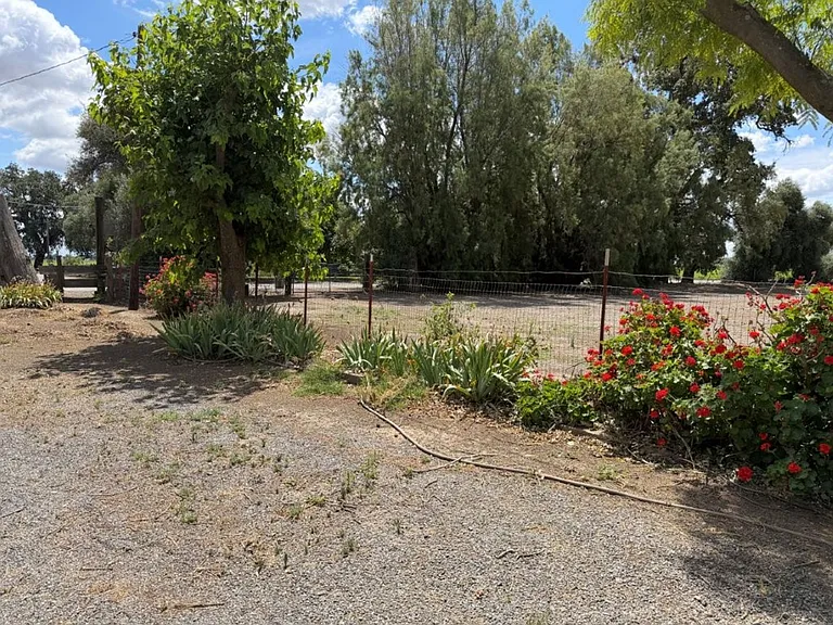 11990 County Road 96 — Photo 19