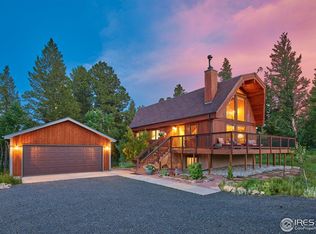 78 Thunder Ridge Rd, Nederland, CO 80466