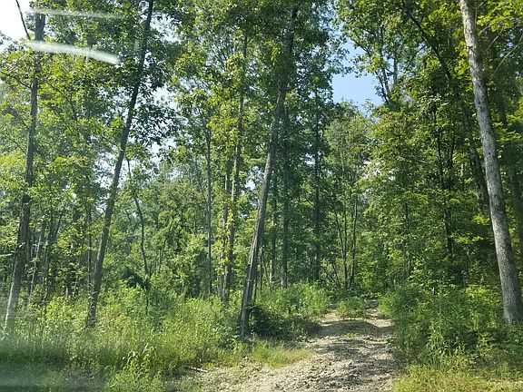 5th image of 630 County Road 224