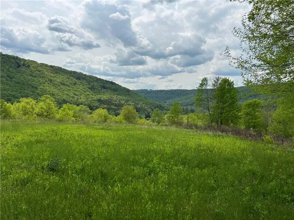 Beaverkill Road, Roscoe, NY 12776