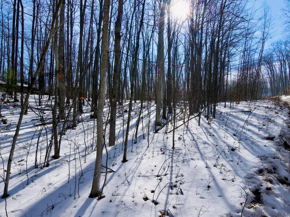 381 & 382 Beechwood Dr, Roscommon, MI 48653