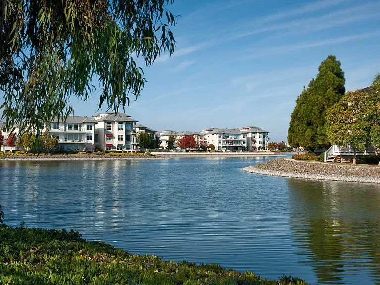 Pond with View of Riva Terra Apartments at Redwood Shores