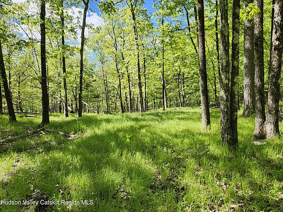 4th image of Tbd Upper Samsonville Road