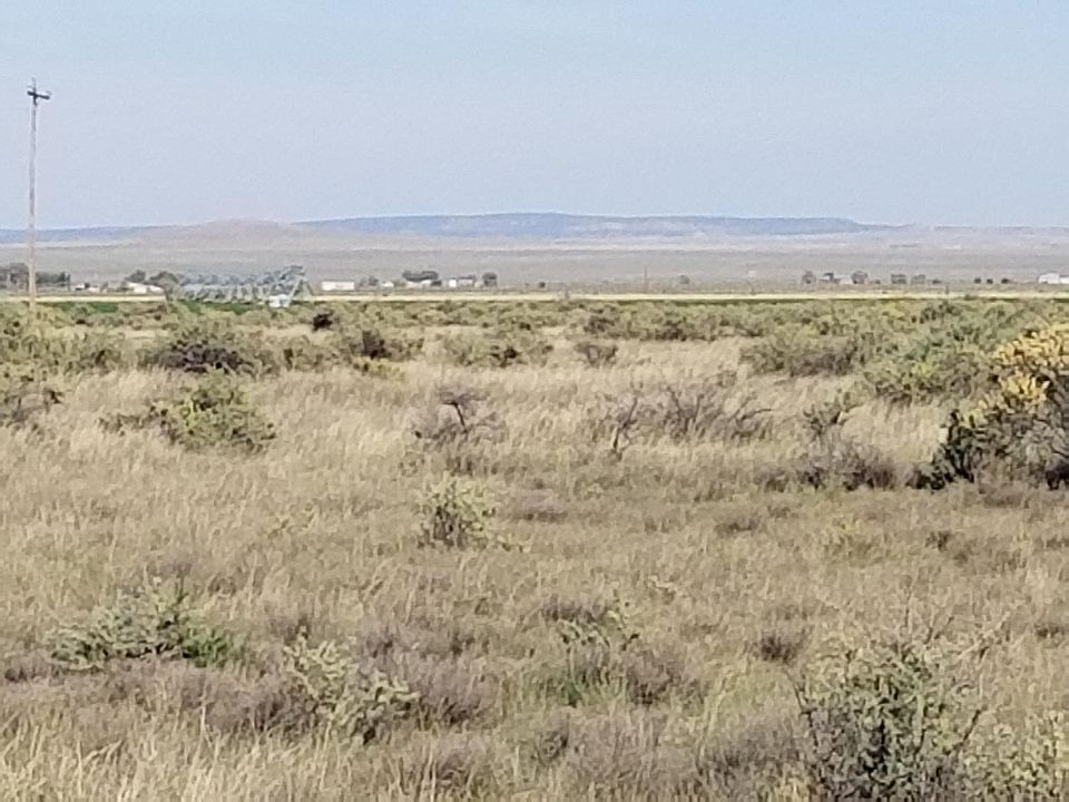 2nd image of 9 Mescalero