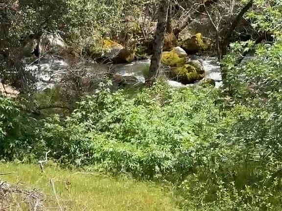2nd image of 43929 Badger Hollow Trl